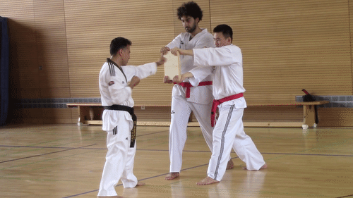 Trainer Assad zerschlägt zwei übereinander gelegte Holzbretter