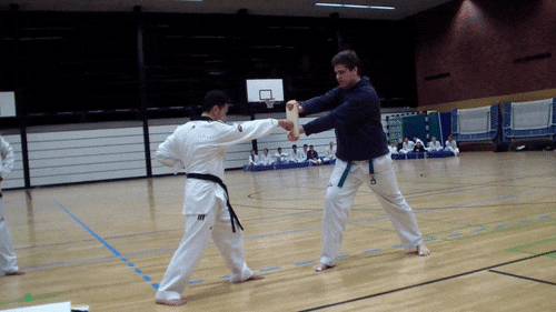 Trainer Assad zerschlägt ein Brett mittels Faustschlag